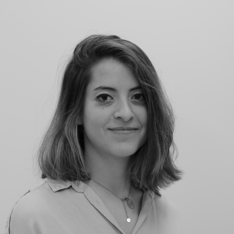 Elodie Sune | DNA Script