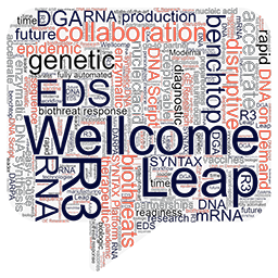 Wellcome Leap WordCloud PR