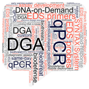 DGA qPCR wordcloud