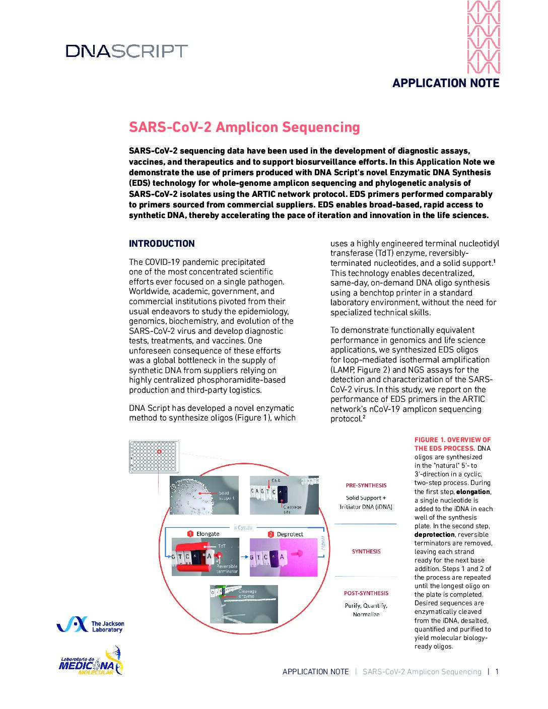 SARS-CoV-2 Amplicon Sequencing Application Note