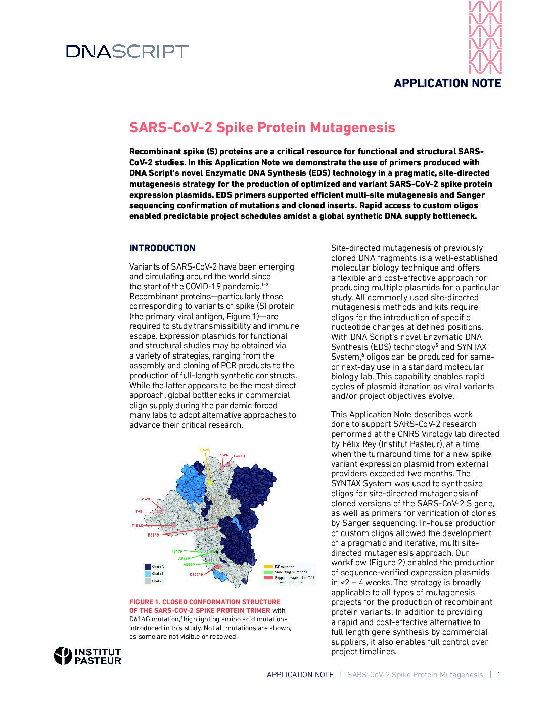 SARS-CoV-2 Spike Protein Mutagenesis Application Note