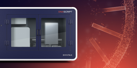 Novel enzymatic DNA produced from a text file achieves comparable immune responses as plasmid vaccine